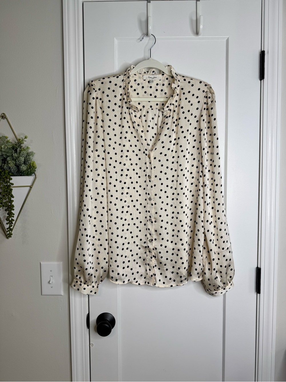 Haver & Blair Ivory/Black Polka Dot Button Down Top